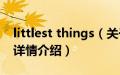 littlest things（关于littlest things的基本详情介绍）