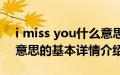 i miss you什么意思（关于i miss you什么意思的基本详情介绍）