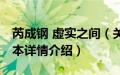 芮成钢 虚实之间（关于芮成钢 虚实之间的基本详情介绍）