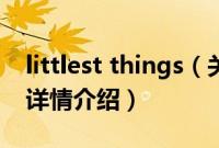 littlest things（关于littlest things的基本详情介绍）