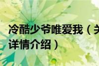 冷酷少爷唯爱我（关于冷酷少爷唯爱我的基本详情介绍）