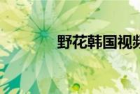 野花韩国视频中文免费观看7