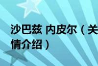 沙巴兹 内皮尔（关于沙巴兹 内皮尔的基本详情介绍）