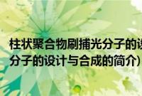 柱状聚合物刷捕光分子的设计与合成(关于柱状聚合物刷捕光分子的设计与合成的简介)