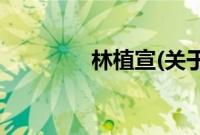 林植宣(关于林植宣的简介)