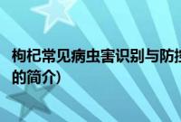 枸杞常见病虫害识别与防控(关于枸杞常见病虫害识别与防控的简介)