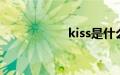 kiss是什么意思中文