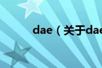 dae（关于dae的基本详情介绍）