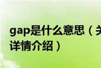 gap是什么意思（关于gap是什么意思的基本详情介绍）