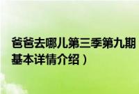 爸爸去哪儿第三季第九期（关于爸爸去哪儿第三季第九期的基本详情介绍）