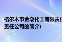 格尔木市金潮化工有限责任公司(关于格尔木市金潮化工有限责任公司的简介)