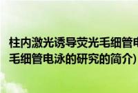 柱内激光诱导荧光毛细管电泳的研究(关于柱内激光诱导荧光毛细管电泳的研究的简介)