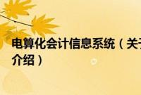 电算化会计信息系统（关于电算化会计信息系统的基本详情介绍）