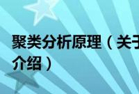 聚类分析原理（关于聚类分析原理的基本详情介绍）