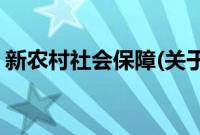 新农村社会保障(关于新农村社会保障的简介)