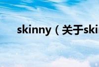 skinny（关于skinny的基本详情介绍）