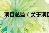 项目总监（关于项目总监的基本详情介绍）