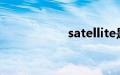 satellite是什么意思