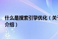 什么是搜索引擎优化（关于什么是搜索引擎优化的基本详情介绍）