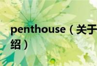 penthouse（关于penthouse的基本详情介绍）