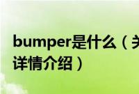 bumper是什么（关于bumper是什么的基本详情介绍）