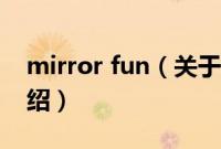 mirror fun（关于mirror fun的基本详情介绍）