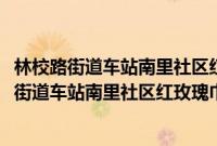 林校路街道车站南里社区红玫瑰巾帼志愿服务队(关于林校路街道车站南里社区红玫瑰巾帼志愿服务队的简介)