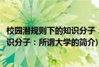 校园潜规则下的知识分子：所谓大学(关于校园潜规则下的知识分子：所谓大学的简介)