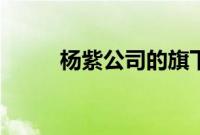 杨紫公司的旗下艺人（杨紫公司）