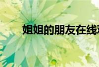 姐姐的朋友在线观看完整免费版中文