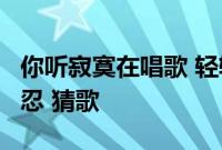 你听寂寞在唱歌 轻轻的 狠狠的 歌声是这么残忍 猜歌