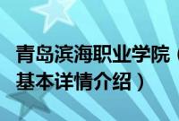 青岛滨海职业学院（关于青岛滨海职业学院的基本详情介绍）