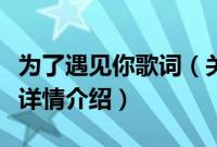 为了遇见你歌词（关于为了遇见你歌词的基本详情介绍）