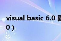 visual basic 6.0 图形控件（visual basic 6 0）