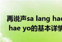 再说声sa lang hae yo（关于再说声sa lang hae yo的基本详情介绍）