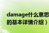 damage什么意思（关于damage什么意思的基本详情介绍）