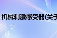 机械刺激感受器(关于机械刺激感受器的简介)