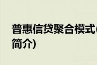 普惠信贷聚合模式(关于普惠信贷聚合模式的简介)