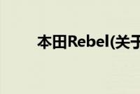 本田Rebel(关于本田Rebel的简介)