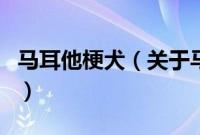 马耳他梗犬（关于马耳他梗犬的基本详情介绍）