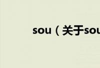 sou（关于sou的基本详情介绍）