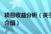 项目收益分析（关于项目收益分析的基本详情介绍）