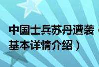 中国士兵苏丹遭袭（关于中国士兵苏丹遭袭的基本详情介绍）