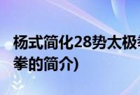 杨式简化28势太极拳(关于杨式简化28势太极拳的简介)