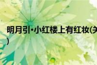 明月引·小红楼上有红妆(关于明月引·小红楼上有红妆的简介)