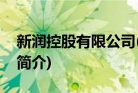 新润控股有限公司(关于新润控股有限公司的简介)