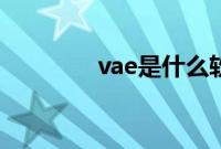 vae是什么软件（vae新歌）