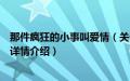 那件疯狂的小事叫爱情（关于那件疯狂的小事叫爱情的基本详情介绍）