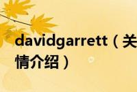 davidgarrett（关于davidgarrett的基本详情介绍）