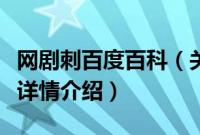 网剧刺百度百科（关于网剧刺百度百科的基本详情介绍）